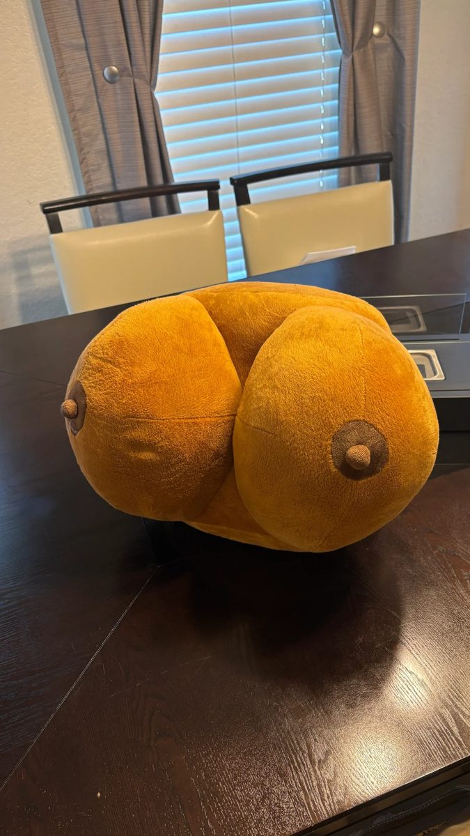 The Boonzy pillow on a table