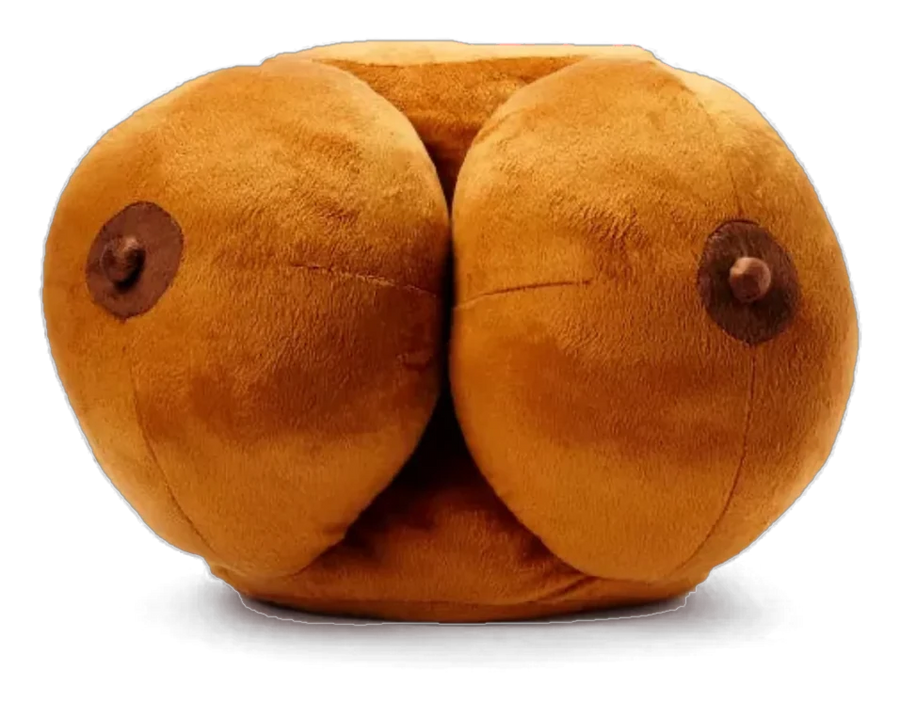The Boonzy Pillow