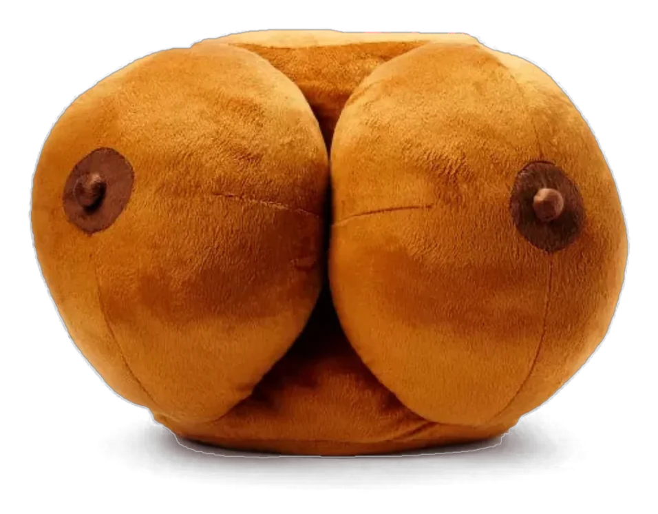 Boonzy pillow, front view